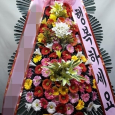파주 꽃배달 생화배달