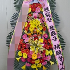성남 수정구 축하화환 서양란