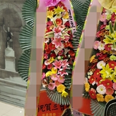 과천 축하화환 서양란