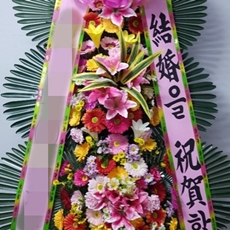 정선 꽃배달 당일꽃배달