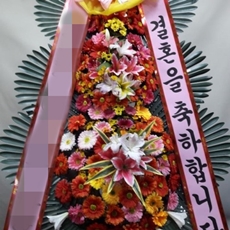 광주 축하화환 서양란