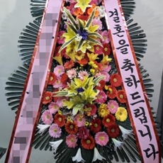 파주 축하화환 서양란