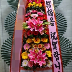 시흥시 축하화환 서양란