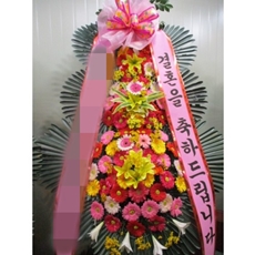 양주 축하화환 서양란
