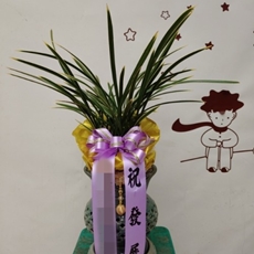 구리 축하화환 쌀화환