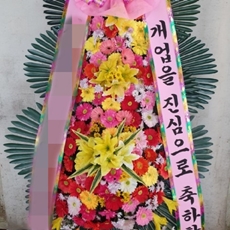 광명 축하화환 서양란
