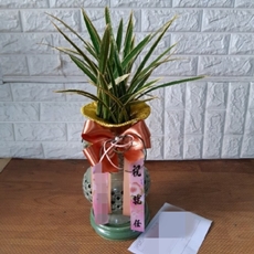 원주 꽃배달 생화배달