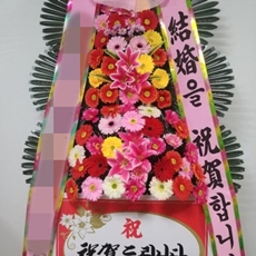 가평 축하화환 서양란