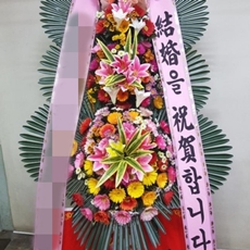 인제 꽃배달 꽃바구니배달