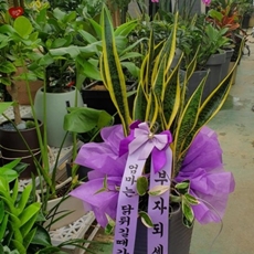 여주 축하화환 스탠드화환
