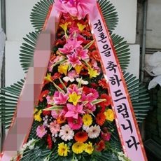 수원 팔달구 축하화환 축하화환가격