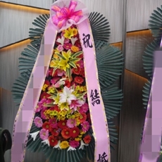 성남 분당구 축하화환 서양란