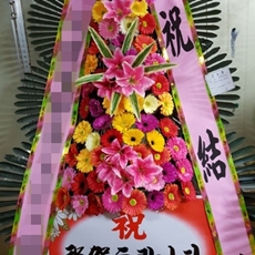 시흥시 축하화환 서양란