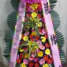 파주 꽃배달 꽃바구니배달