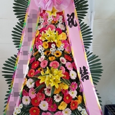 고양 일산동구 축하화환 스탠드화환