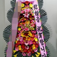연천 축하화환 서양란