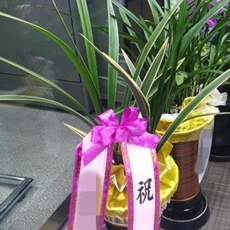부천 오정구 축하화환 전국배송