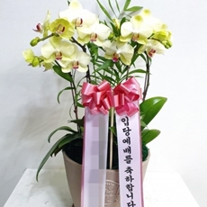 하남 축하화환 축하화환가격