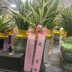 영월 꽃배달 꽃배달 당일배송