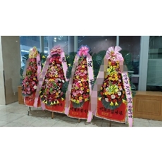 광주 축하화환 서양란