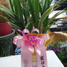 원주 꽃배달 꽃다발배달