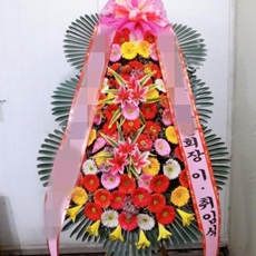 수원 권선구 축하화환 서양란