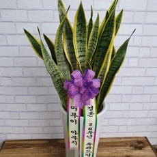 평택 꽃배달 빠른배송