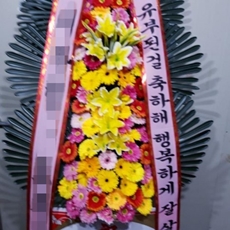포천 축하화환 서양란