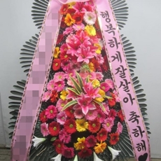 영월 꽃배달 당일꽃배달