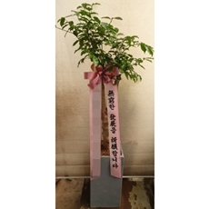 용인 기흥구 축하화환 개업화환추천