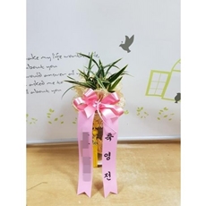 평택 꽃배달 꽃다발선물