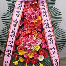 창원 진해구 축하화환 리본화환