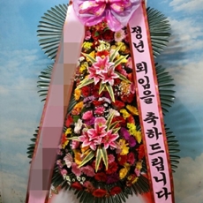 시흥시 축하화환 서양란