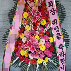 밀양 축하화환 서양란