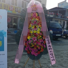 동두천 축하화환 서양란