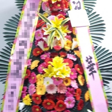 원주 꽃배달 생화배달