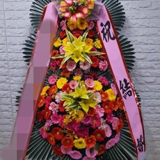 고양 일산동구 축하화환 축하화환가격