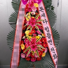 광주 축하화환 축하화환종류