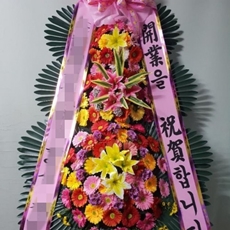 영월 꽃배달 빠른배송
