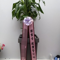 포천 꽃배달 당일꽃배달