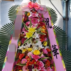 하남 축하화환 서양란