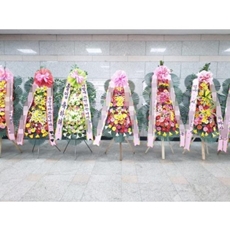 평택 축하화환 스탠드화환