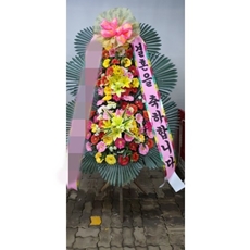 시흥시 축하화환 서양란