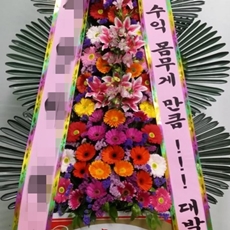 평택 꽃배달 생화배달
