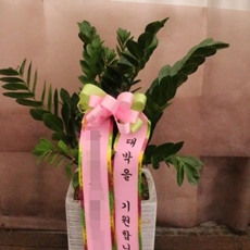 평택 축하화환 리본화환