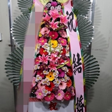가평 축하화환 스탠드화환