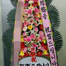 의왕 축하화환 축하화환당일배송