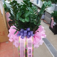 원주 꽃배달 꽃바구니배달