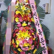 양양 꽃배달 꽃바구니배달