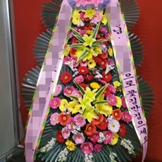 과천 축하화환 축하화환당일배송
